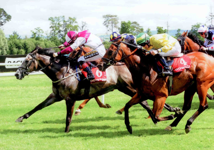 Toccata Blue Gowran Park SUn 22nd June